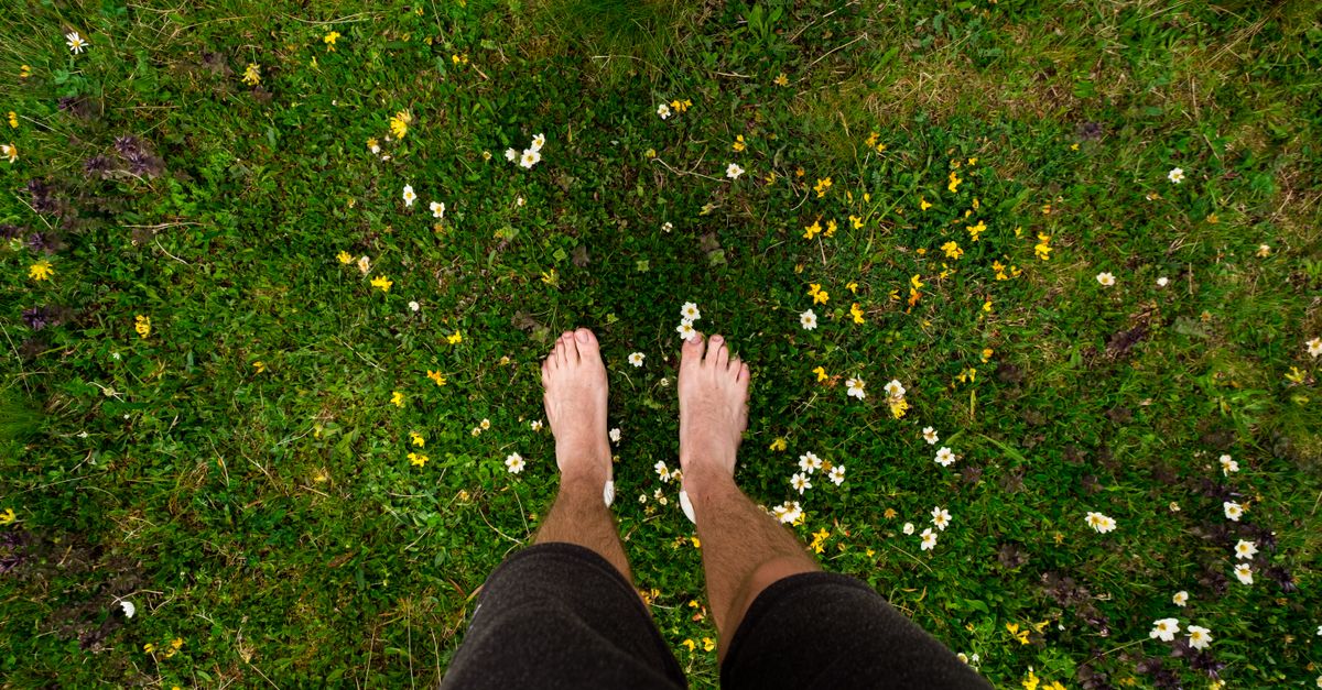 Nackte Füße von oben fotografiert in einer Wiese voller Wildblumen, Sinnbild für die feinen Nervenenden des peripheren Nervensystems bis in die Zehen